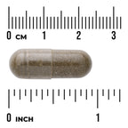 Full Spectrum Sweet Wormwood (Artemisia annua)