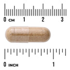 Marshmallow Root