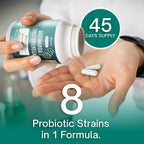 Christensenella Minuta and Akkermansia, Bifidobacterium longum, 8 Probiotic Strains, 50 Billion CFU with Cranberry Extract, Gut Health & Immune Support