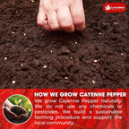 Premium Cayenne Pepper Powder– Pure Ground Red Pepper, Bold and Spicy Flavor