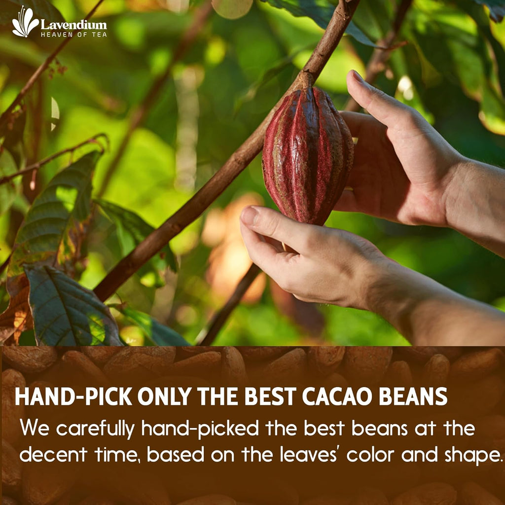 Cacao Powder
