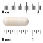 ProLacto Acidophilus