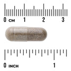 Gymnema Sylvestre Extract - Standardized