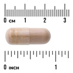 Triple Mushroom Complex - 3 Mushroom Formula