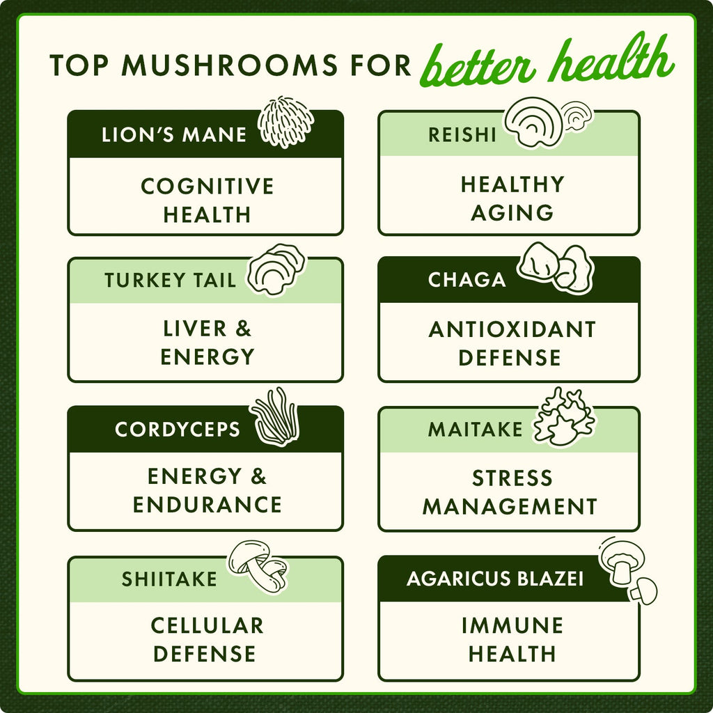 Full Spectrum Chaga Mushroom