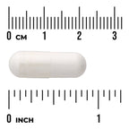 Lactobacillus Acidophilus
