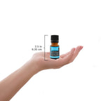 Plantlife Meditate Aromatherapy Essential Oil Blend - Straight from The Plant 100% Pure Therapeutic Grade - No Additives or Fill