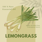 Lemongrass Essential Oil - 16 fl oz - Aluminum Bottle - 100% Essential Oil - GreenHealth