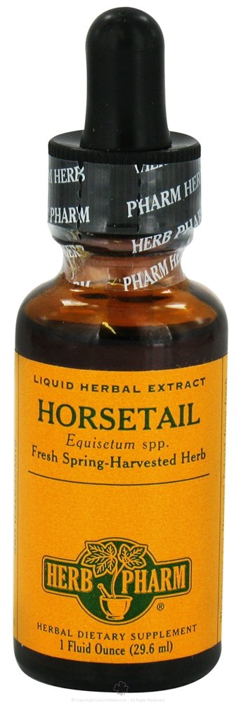 Horsetail