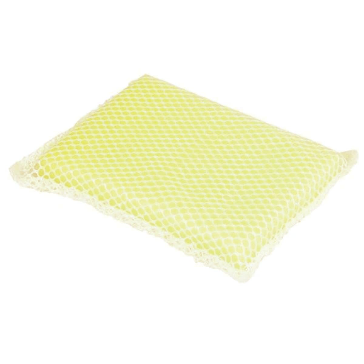 Lola Nylon/Sponge Cleaning Pad, 0.3 Ounce