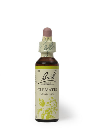 Bach Original Flower Remedies clematis 20ml