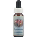 Flower Essence Services Supplement Dropper, Honeysuckle, 0.25 Ounce