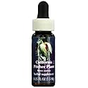 California Pitcher Plant Essence 7.40 Milliliters