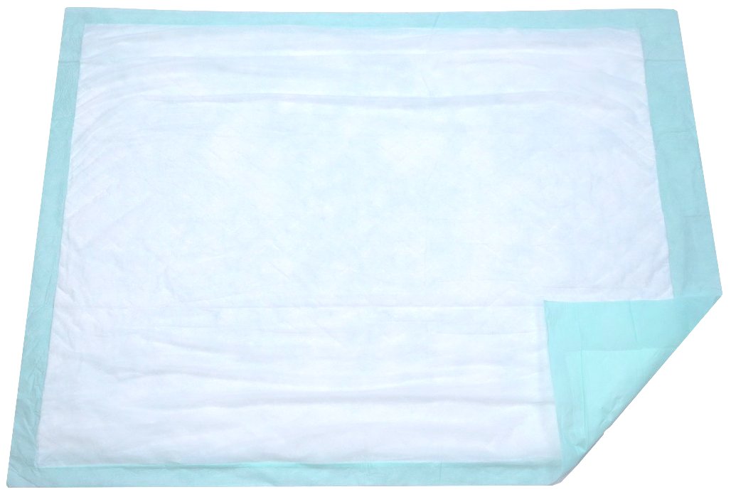 Extra Large Disposable Incontinence Bed Pad 10 Count (Size 36 x 36 Inch) - Hospital Underpad with Incontinence Protection for Ad