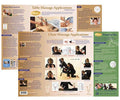 Ohm Therapeutics Massage Therapy Chart - A Guide for Bodywork Practitioners and Sound Therapy demonstrating Ohm Tuning Fork Appl