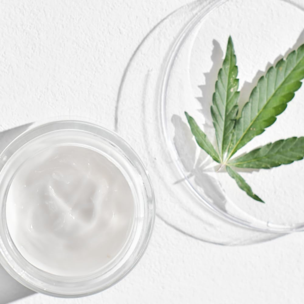ISOI CICAGO Cica Finish Cream 50ml (1.69 fl.oz) | Gentle Moisturizer for Sensitive Skin with Centella Asiatica | Lightweight Hyd