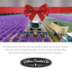 Diffuse Essential Oils 10ml - Cedarwood Essential Oil - 0.33 Fluid Ounces