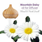Mountain Daisy (Celmisia Spectabilis) Essential Oil 100% Pure & Natural Undiluted Uncut Oil | Use for Aromatherapy | Therapeutic