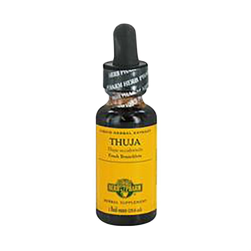 Thuja