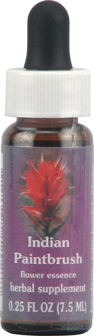 Flower Essence Services Quintessentials Supplement Dropper, Indian Paintbrush, 0.25 Fluid Ounce