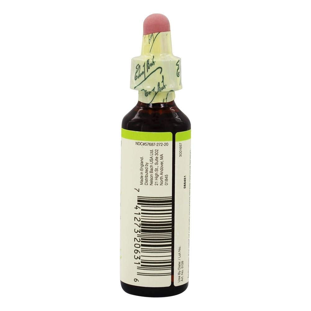 Bach Flower Olive