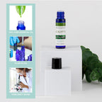 SpaRoom Aromatherapy 100% Pure Essential Oils for Diffusers and Air Freshners, Invigorate Eucalyptus, 10 mL