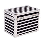 Vaultz Medicine Storage Box w/Combination Lock - 4 x 6 x 4 Inches Cabinet Safe, Black & White Stripes
