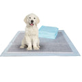 BV Charcoal Puppy Pads XL 320 Count 28x34 - Leak-Proof Pee Pads for Dogs with 6-Layer Absorbent Design & Built-in Attractant - D