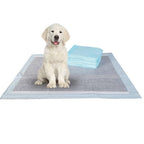 BV Charcoal Puppy Pads XL 320 Count 28x34 - Leak-Proof Pee Pads for Dogs with 6-Layer Absorbent Design & Built-in Attractant - D