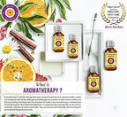 Deve Herbes Pure Citronella Essential Oil (Cymbopogon nardus) Steam Distilled 630ml (21 oz)
