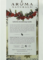 Aroma Naturals Wish Holiday Square Glass Soy Candle, Peppermint and Vanilla, 6.8 Ounce