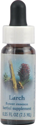 Flower Essence Services Supplement Dropper, Larch, 0.25 Ounce