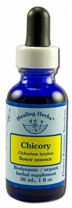 Flower Essence Healing Herbs Organic Chicory Dropper -- 1 fl oz