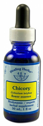 Flower Essence Healing Herbs Organic Chicory Dropper -- 1 fl oz