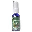 Flower Essence Services Yarrow Environmental Solution Spray, 1 Ounce