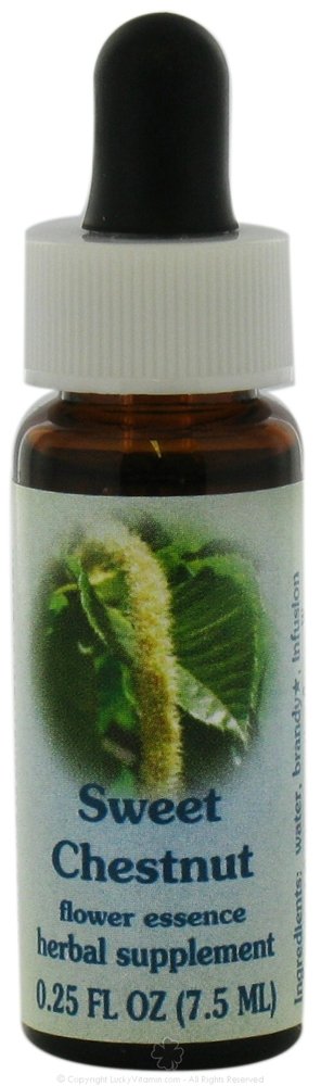 Sweet Chestnut Essence 7.40 Milliliters