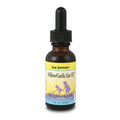 Herbs For Kids Willow/Garlic Ear Oil, Unscented (Btl-Glass) | 1oz