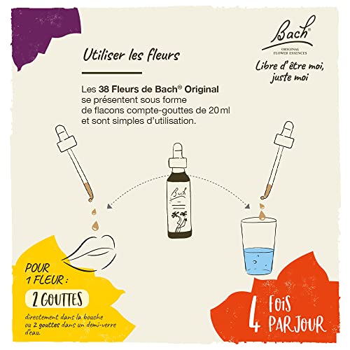 Bach Original Flower Remedies, Oak for Endurance and Strength, Natural Homeopathic Flower Essence, Holistic Wellness, Vegan, 20m