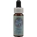 Flower Essence Services Supplement Dropper, Chicory, 0.25 Fluid Ounce