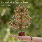 Labradorite Crystal Trees for Home and Office Decoration, Chakra Healing Crystals Feng Shui Handmade Trees for Positive Energy,
