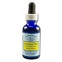 Flower Essence Services Dropper Herbal Supplements, Chestnut Bud, 1 Ounce