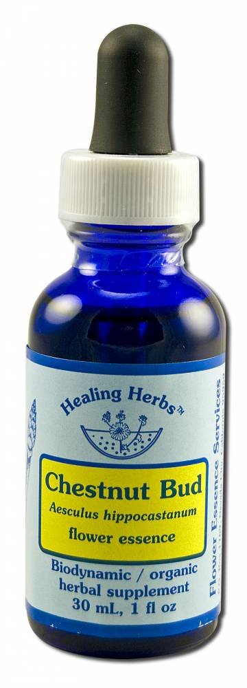 Flower Essence Services Dropper Herbal Supplements, Chestnut Bud, 1 Ounce