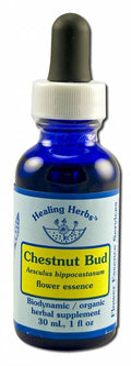 Flower Essence Services Dropper Herbal Supplements, Chestnut Bud, 1 Ounce