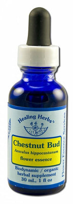 Flower Essence Services Dropper Herbal Supplements, Chestnut Bud, 1 Ounce