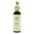 Bach Flower Olive