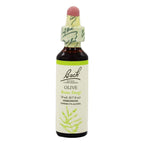 Bach Flower Olive
