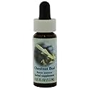 FLOWER ESSENCE SERVICES Supplement Dropper, Chestnut Bud, 0.25 Fluid Ounce