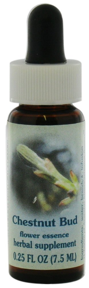 FLOWER ESSENCE SERVICES Supplement Dropper, Chestnut Bud, 0.25 Fluid Ounce