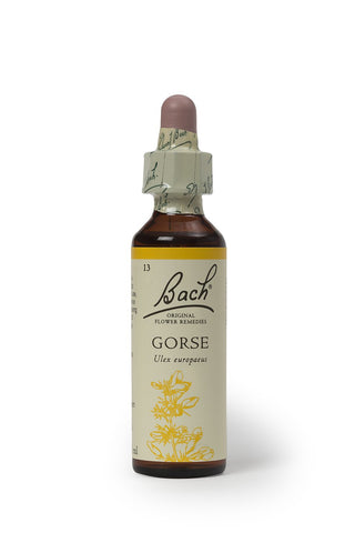 Bach Original Flower Remedy gorse 20 ml