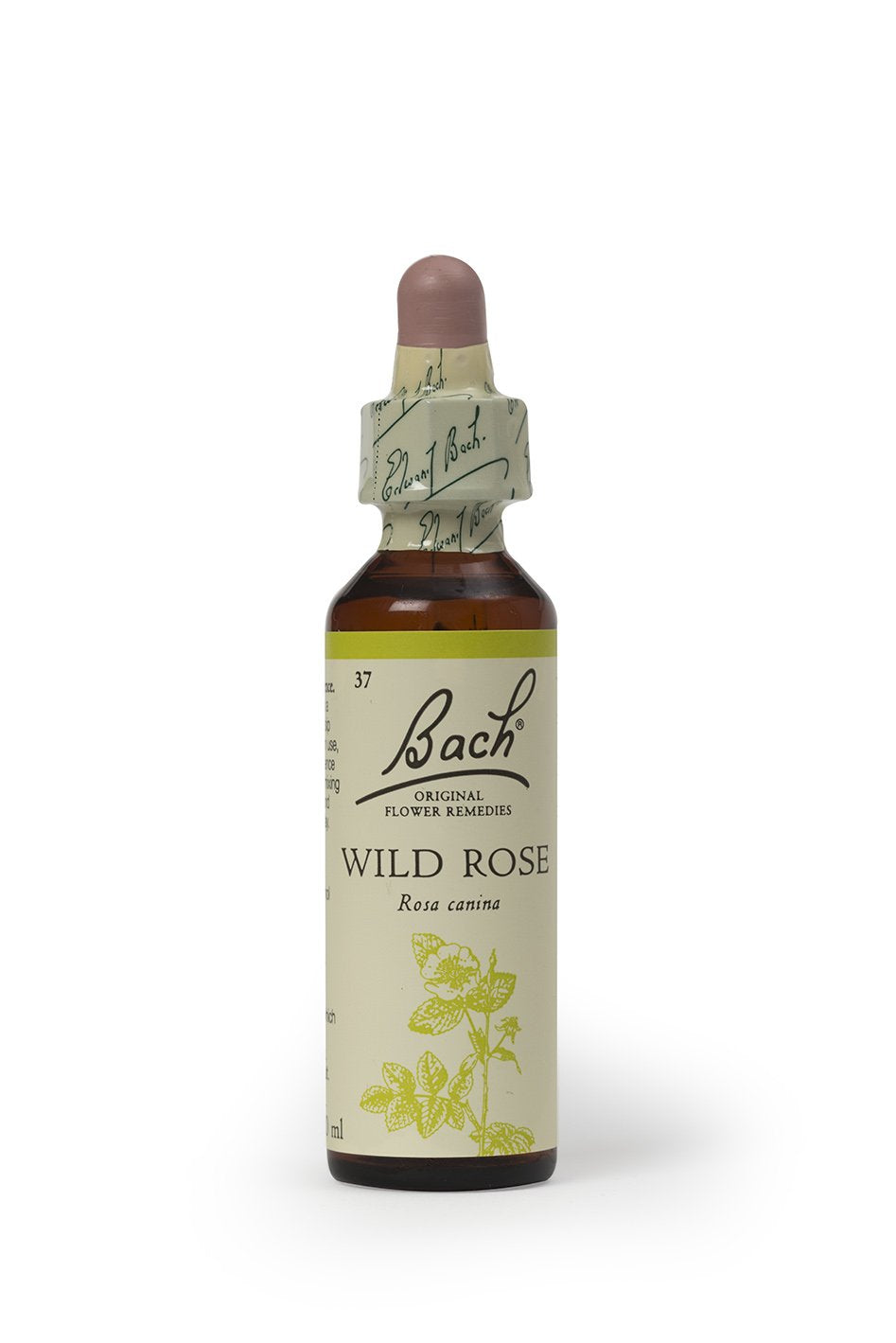 Bach Original Flower Remedy Wild Rose 20 ml